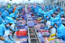 Dịch corona: Kinh tế Việt Nam chịu tác động ra sao?