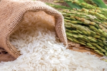 Bảng giá gạo hôm nay 26/3: Cuộc đua song mã gạo Việt Nam và Thái Lan