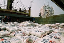 Giá gạo hôm nay 27/4: Xuất khẩu gạo nếp tăng
