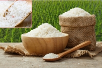 Giá gạo hôm nay 30/4: Bảng giá gạo miền Tây mới nhất