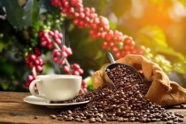 Thị trường giá nông sản hôm nay 12/5: Giá cà phê, giá tiêu tăng mạnh