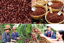 Giá nông sản trực tuyến hôm nay 15/7: Giá cà phê giảm, giá tiêu tăng