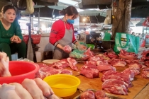 Bảng giá thịt heo hơi hôm nay 16/7: Giá heo sống tăng, vì sao Thái Lan cấm xuất sang Việt Nam?
