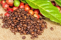 Giá cả thị trường nông sản ngày 12/8: Giá tiêu tăng, cà phê giảm