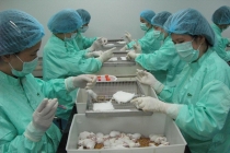 Việt Nam thử nghiệm vaccine Covid
