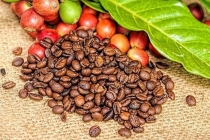 Thị trường giá nông sản ngày 8/11: Chốt tuần giá tiêu, giá cà phê tăng mạnh