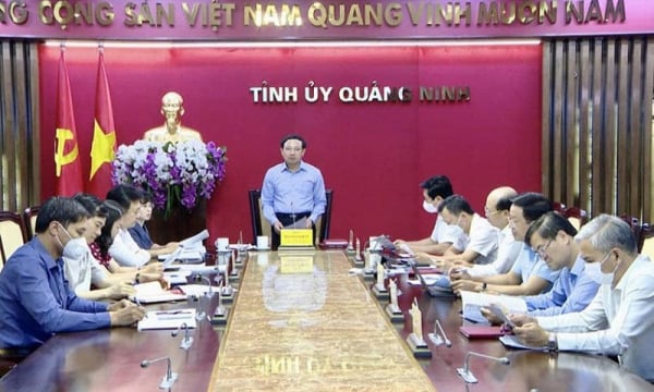 Quảng Ninh xem xét trách nhiệm Phó chủ tịch tỉnh liên quan vụ Việt Á