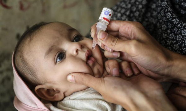Phát hiện loại virus 'tuyệt tích' 42 năm tái xuất trong nước thải