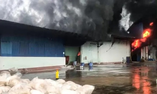 Cháy lớn tại xưởng điều ở Bình Phước