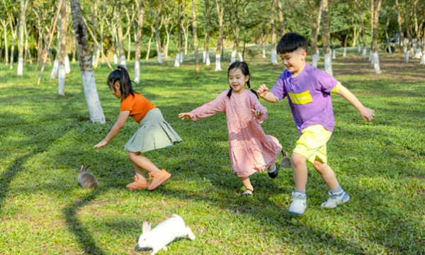 Tìm đâu một vé về tuổi thơ?