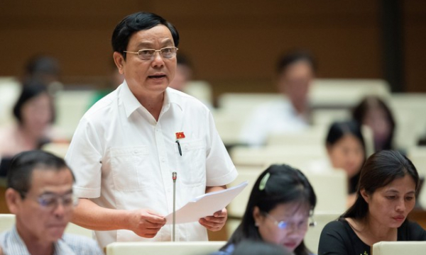 ĐBQH: Doanh nghiệp nội địa đang đứng trước nguy cơ giải thể, phá sản hoặc bị thâu tóm