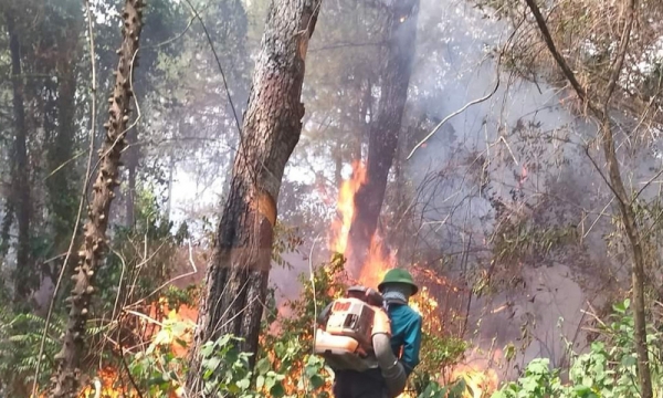 Nghệ An: Tiếp tục xảy ra cháy rừng ở huyện Diễn Châu