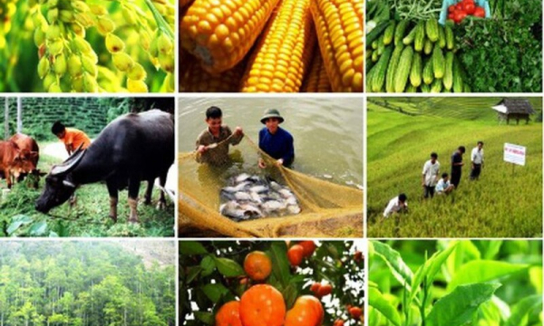 Thái Nguyên: Công nhận 37 sản phẩm nông nghiệp tiêu biểu của tỉnh năm 2023