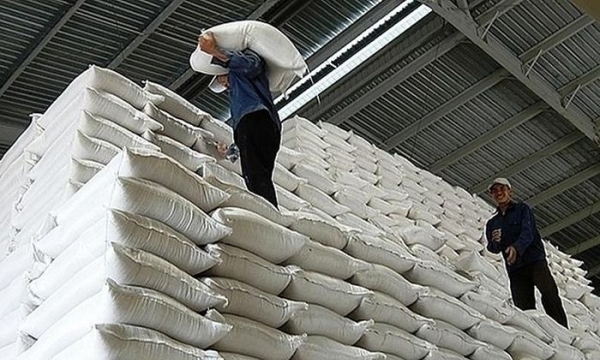 Quảng Trị: Chính phủ hỗ trợ trên 379 tấn gạo cho học sinh vùng đặc biệt khó khăn