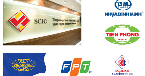 Tâm điểm bán vốn SCIC cuối năm: VCG, FPT, BMP, NTP, DMC liệu có ‘nuột’ như Vinamilk?