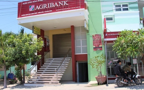 Nhân viên giả chữ ký chiếm đoạt 55 tỷ đồng, bắt giam 2 cựu lãnh đạo ngân hàng Agribank