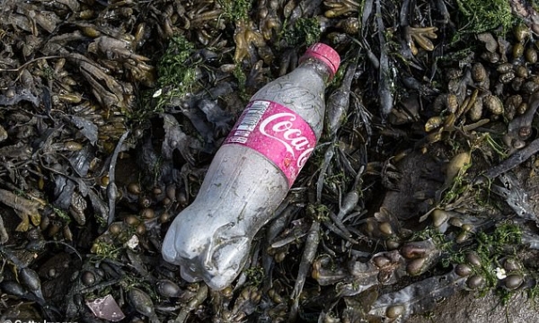 Coca-Cola gây ô nhiễm rác thải nhựa nhiều nhất thế giới