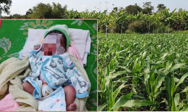 Bé gái sơ sinh bị bỏ rơi trong rẫy ở Đắk Lắk