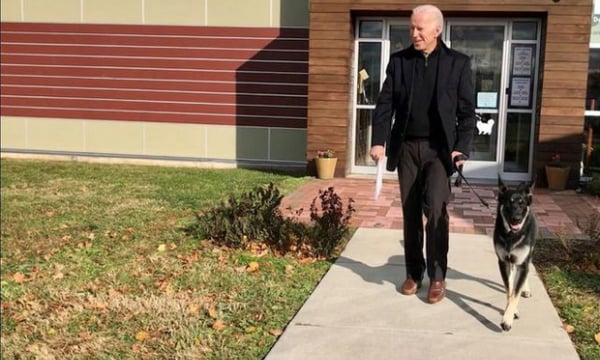 Chó cưng của Tổng thống Joe Biden cắn mật vụ Nhà Trắng