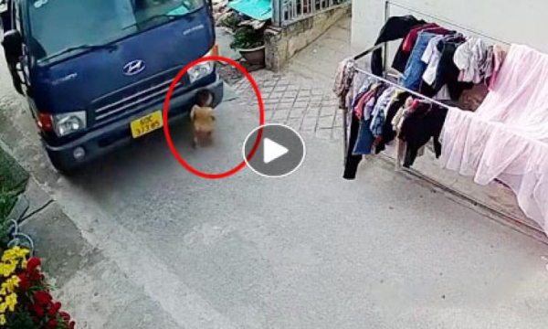 CLIP: Khoảnh khắc cháu bé thoát nạn thần kỳ dưới gầm xe tải