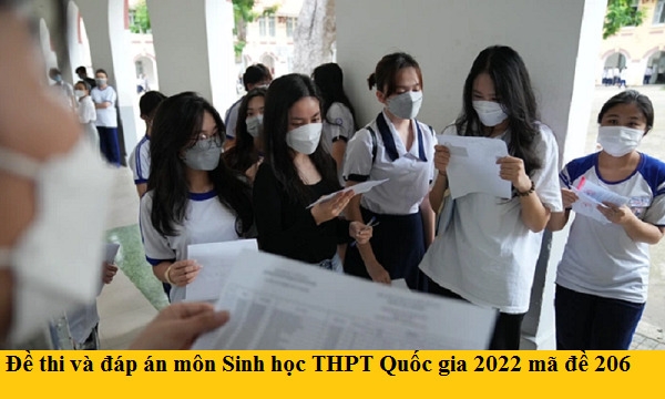 Đề thi và đáp án môn Sinh học THPT Quốc gia 2022 mã đề 206