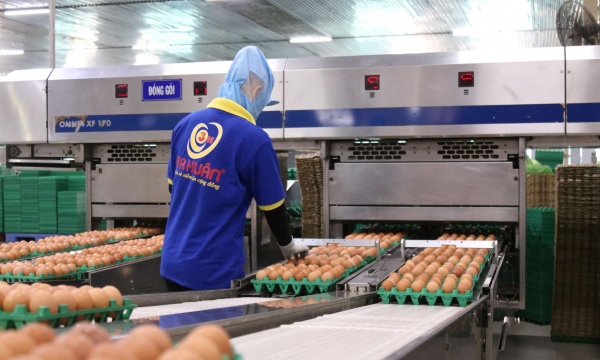 Trứng gà Ba Huân hợp tác FPT chuyển đổi số nông nghiệp cao phát triển bền vững