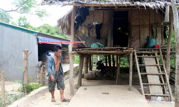 Vụ xây chồng bò giá 236 triệu đồng: Cần thanh tra làm rõ