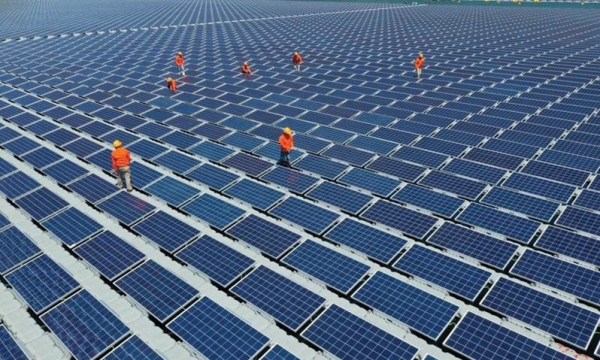 Kiến nghị dừng, giãn tiến độ các dự án điện mặt trời ở Ninh Thuận
