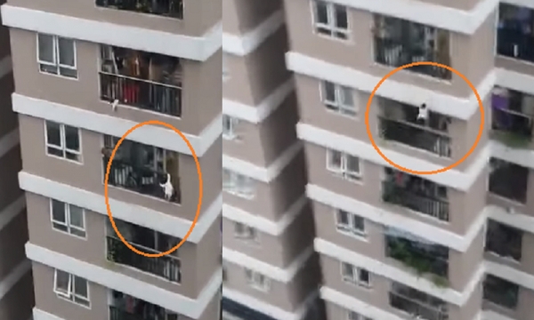 VIDEO bé 3 tuổi rơi ban công tầng 12 chung cư, may mắn được cứu sống