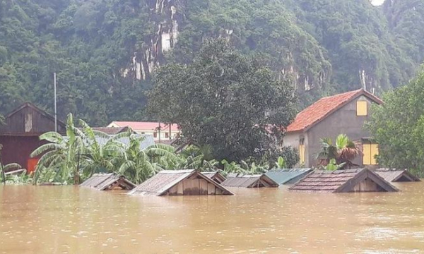 Cơn bão số 9 khiến 1 người chết, nhiều nhà hư hại