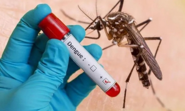 Bộ Y tế yêu cầu tăng cường công tác phòng, chống bệnh sốt xuất huyết