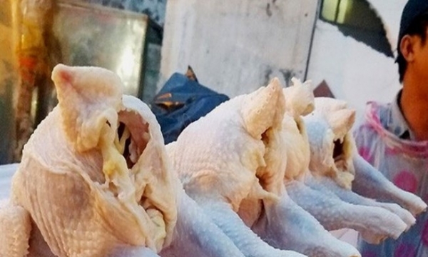 Giá thịt gà hôm nay 4/5: Thịt gà công nghiệp rẻ như rau