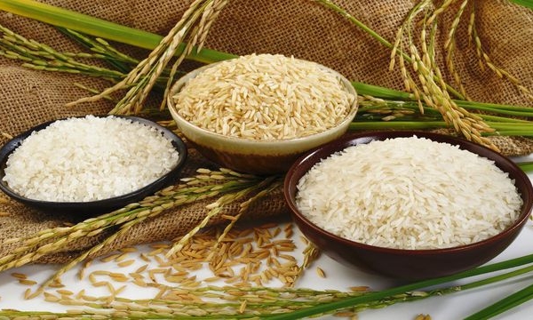 Giá gạo hôm nay 8/6: Giá gạo xuất khẩu tăng giá mạnh