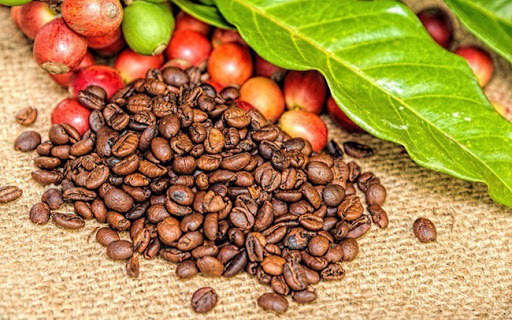 Giá cả thị trường nông sản ngày 12/8: Giá tiêu tăng, cà phê giảm