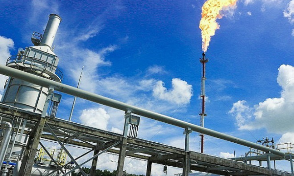 Bảng giá gas hôm nay 14/2/2022: Tiếp tục giảm mạnh do lo ngại nguồn nhu cầu đi xuống