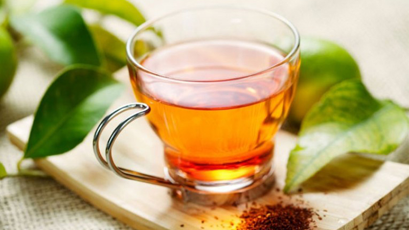 Uống lá vối hàng ngày có tốt không?