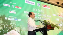 Ngành Ngân hàng đồng hành cùng sự phát triển bền vững của ngành lúa gạo