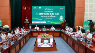 Tín dụng xanh mở dòng vốn mới cho hành trình tăng trưởng bền vững