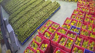 Xuất khẩu rau quả tăng tốc, Trung Quốc, Hoa Kỳ và EU là các nhân tố chính thúc đẩy tăng trưởng