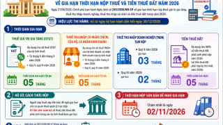 Cục Thuế yêu cầu triển khai ngay nghị định gia hạn thuế trên toàn quốc