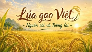 Hơn 1.300 tác phẩm tham gia cuộc vận động “Lúa gạo Việt – Nguồn cội và tương lai”