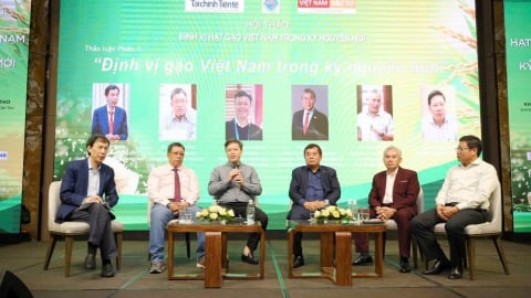 Chiến lược phát triển hạt gạo Việt Nam trong kỷ nguyên vươn mình