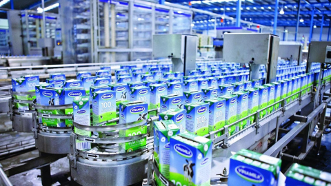 Vinamilk: Lợi nhuận quý I/2025 giảm mạnh, thị trường nội địa tiếp tục là điểm nghẽn