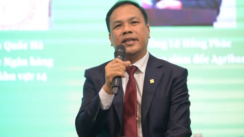Agribank “thiết kế” gói vay chuyên biệt hơn cho ngành lúa gạo