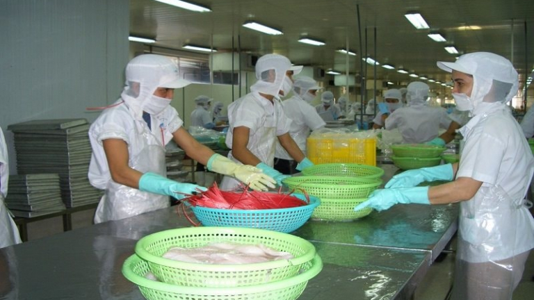 Xuất khẩu cá tra quý I/2026 tăng 17%, nhu cầu thị trường Trung Quốc dẫn dắt đà phục hồi