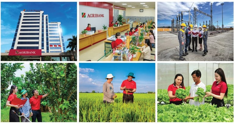 Tăng vốn điều lệ - đòn bẩy để Agribank tiếp tục dẫn dắt dòng vốn cho nền kinh tế