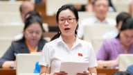 Tràn lan quảng cáo sai sự thật: ĐBQH điểm tên Quang Linh Vlogs, 'lòng xe điếu'