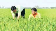 Doanh nghiệp nhỏ và vừa khó ‘với tay’ tới tín dụng xanh
