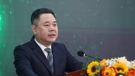 'Việt Nam cần 670 – 700 tỷ USD cho tăng trưởng xanh đến 2050'