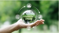 Gần 2 tỷ USD từ tín chỉ carbon: Bán hết ra nước ngoài hay để dành cho DN trong nước